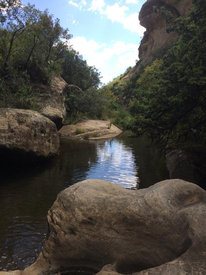 De Ark Mountain Lodge Clarens Bagian luar foto